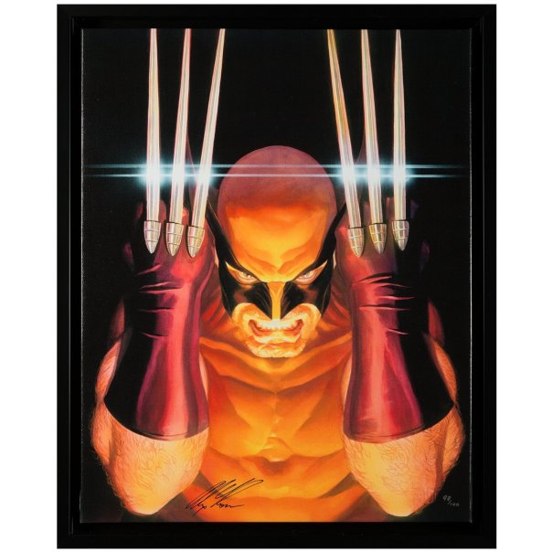Alex Ross 3