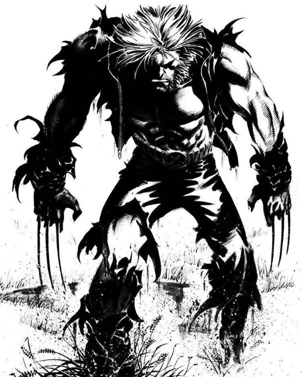 Andy Kubert 2